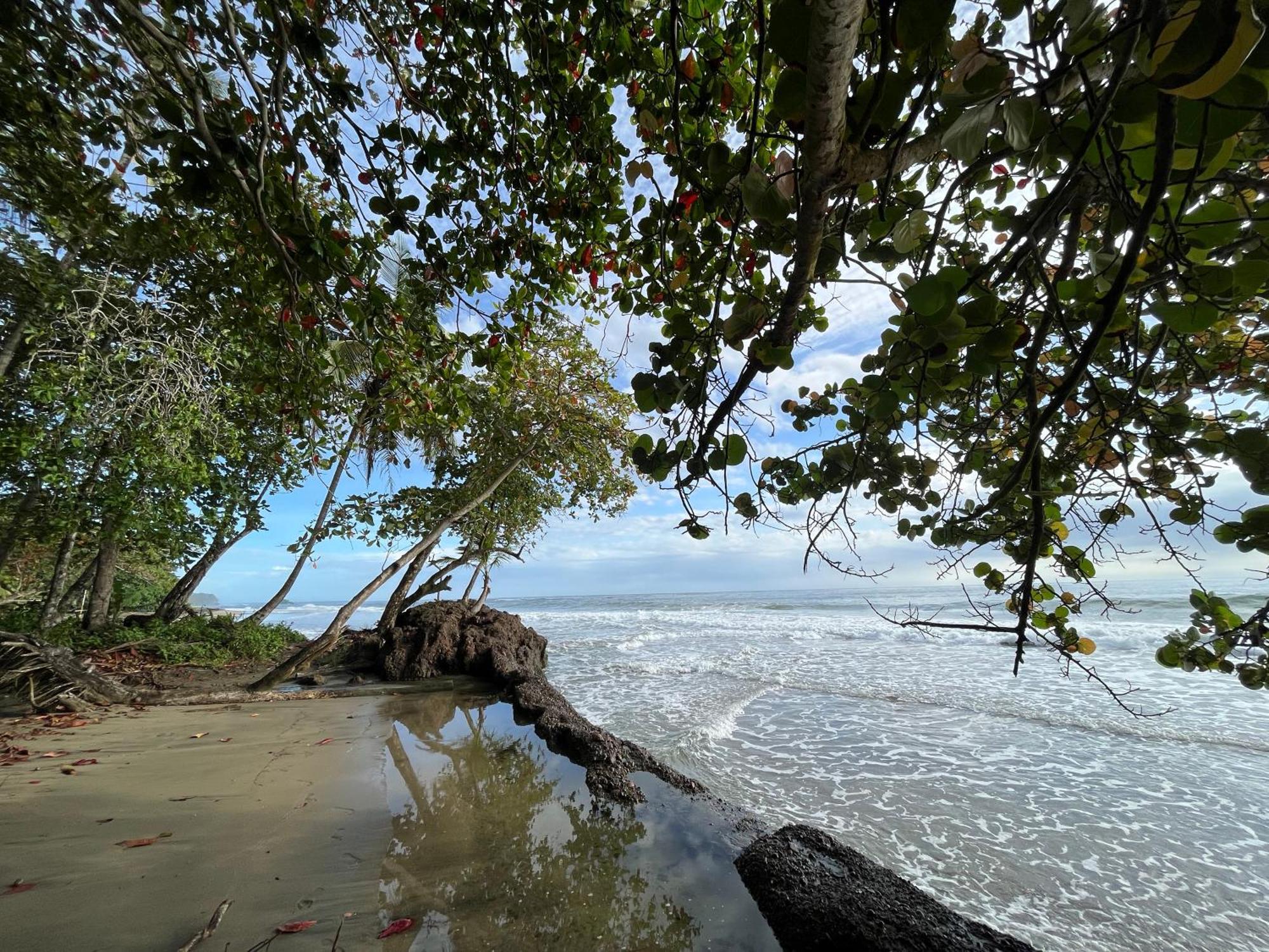 Namu Garden Hotel & Spa (Adults Only) Puerto Viejo de Talamanca 외부 사진